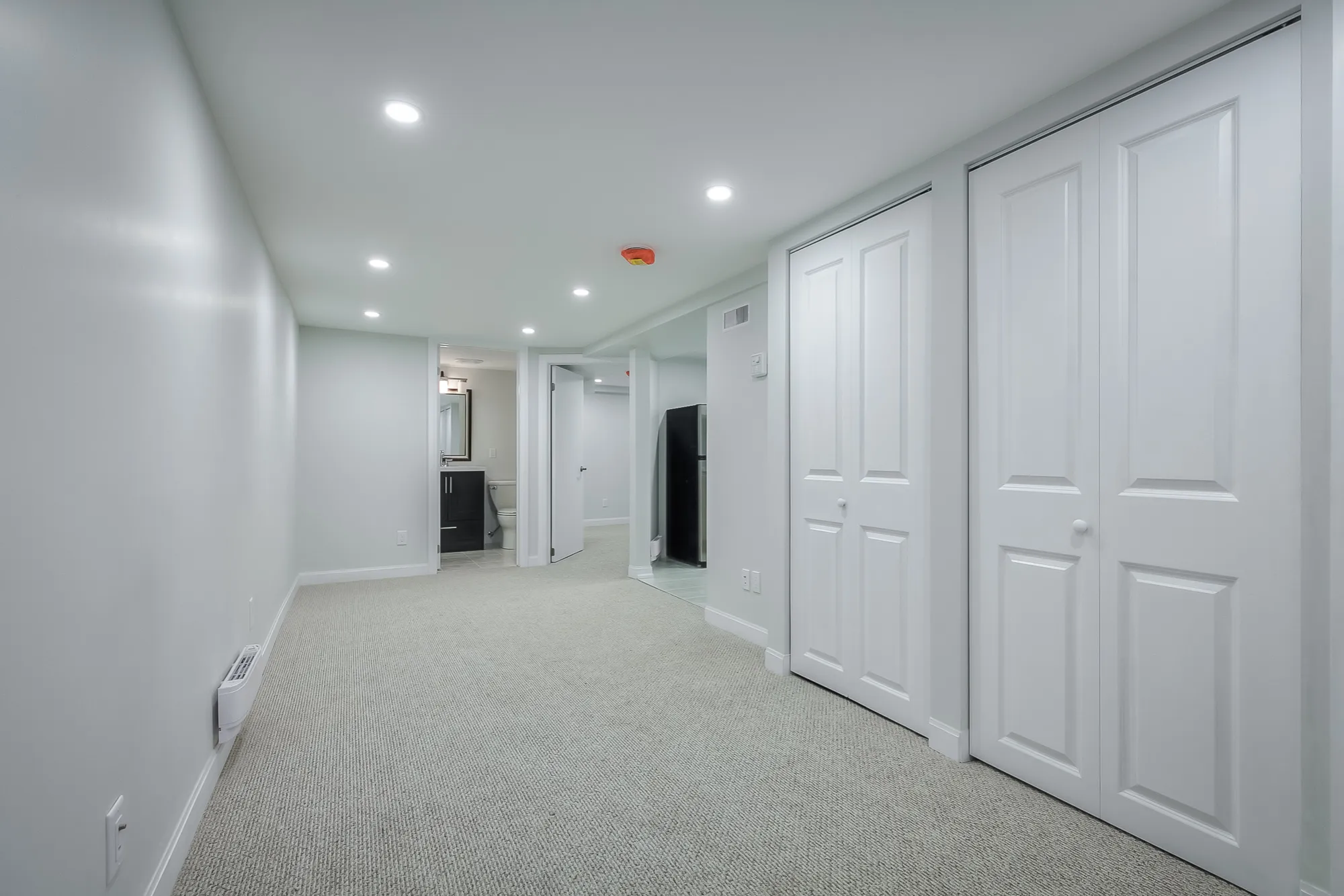 living room with carpet floors and two closets